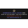 5 All Resistance Small Charm